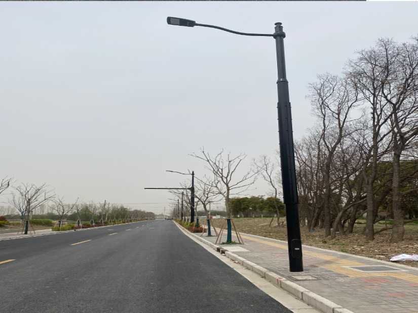 巨野县上海综合杆 太阳能路灯工程